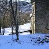 Neve