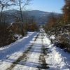 Neve