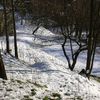 Neve