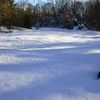 Neve