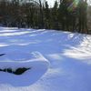 Neve