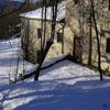 Neve