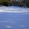 Neve