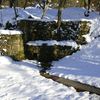 Neve