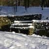 Neve