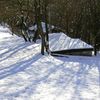 Neve