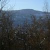 Neve